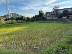北九州市門司区吉志、土地のその他画像です