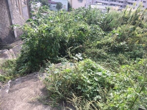 北九州市門司区大里東、土地の前面道路を含む現地写真画像です