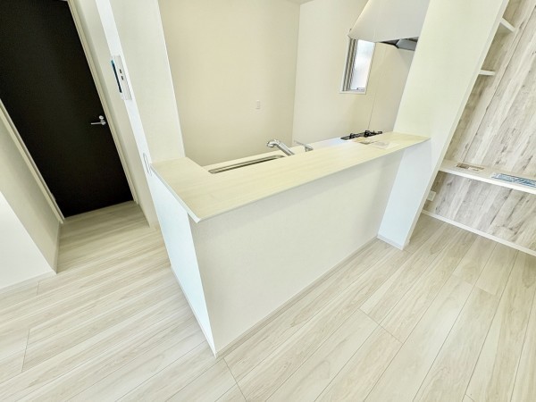 藤沢市善行、新築一戸建てのキッチン画像です