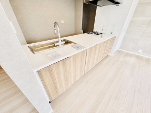 藤沢市片瀬山、新築一戸建てのキッチン画像です