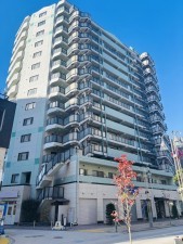 藤沢市藤沢、中古マンションの外観画像です