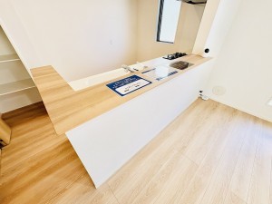 藤沢市湘南台、新築一戸建てのキッチン画像です