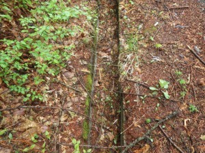 塩尻市大字旧塩尻、土地の画像です