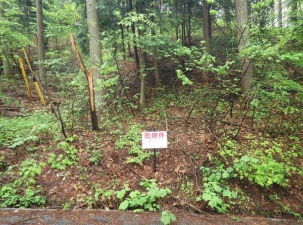 塩尻市大字旧塩尻、土地の画像です