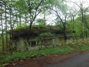 塩尻市大字旧塩尻、土地の画像です