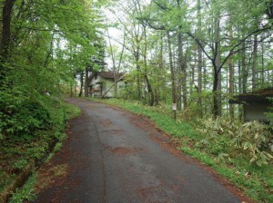 塩尻市大字旧塩尻、土地の画像です