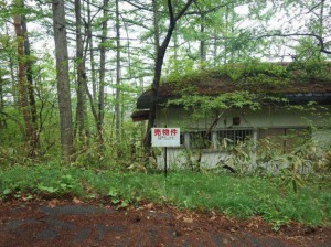 塩尻市大字旧塩尻、土地の画像です