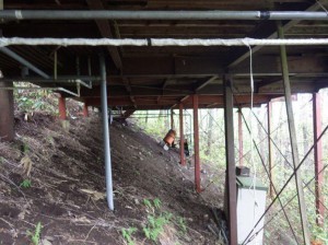 塩尻市大字旧塩尻、土地の画像です