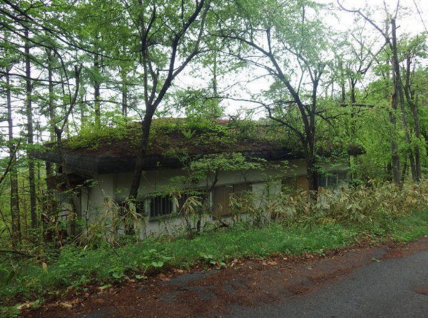 塩尻市大字旧塩尻、土地の画像です