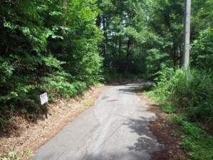 塩尻市大字北小野、土地の画像です