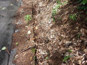 塩尻市大字北小野、土地の画像です