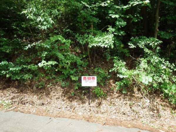 塩尻市大字北小野、土地の画像です