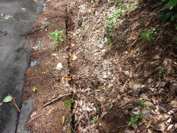 塩尻市大字北小野、土地の画像です