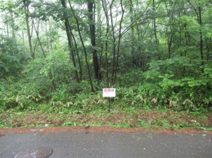 塩尻市大字北小野、土地の画像です