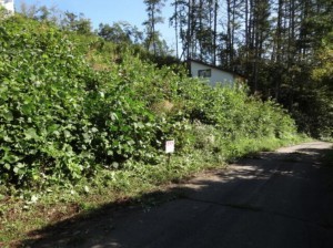 塩尻市大字旧塩尻、土地の画像です