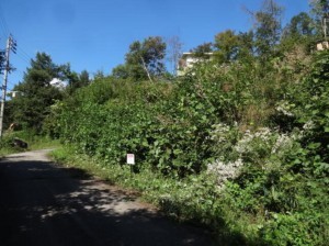 塩尻市大字旧塩尻、土地の画像です