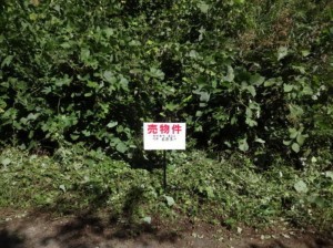 塩尻市大字旧塩尻、土地の画像です