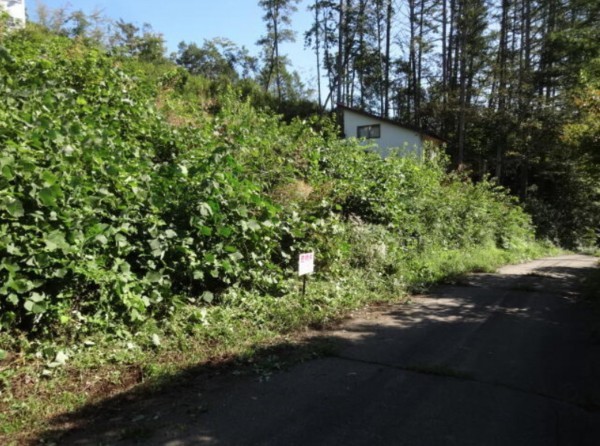 塩尻市大字旧塩尻、土地の画像です