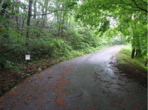 塩尻市大字北小野、土地の画像です