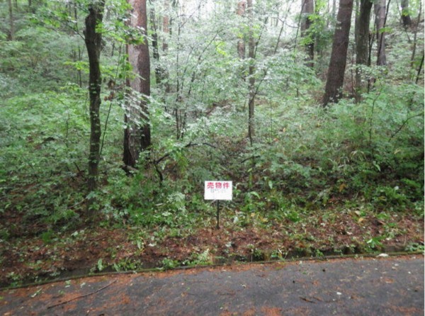 塩尻市大字北小野、土地の画像です