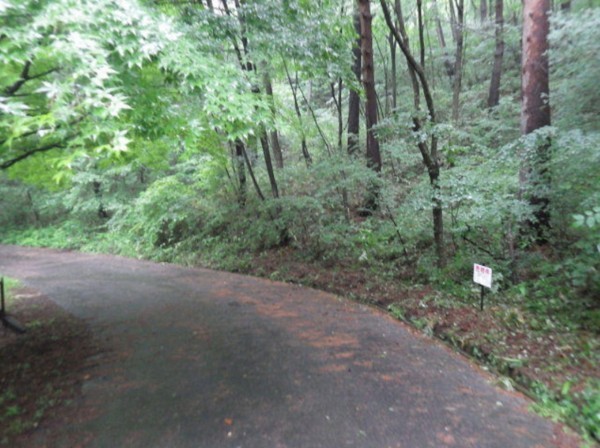 塩尻市大字北小野、土地の画像です