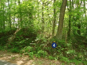 塩尻市大字北小野、土地の画像です