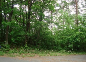 塩尻市大字北小野、土地の画像です