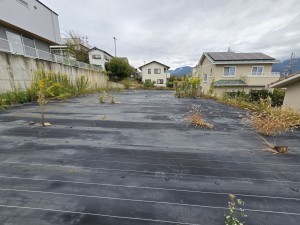 松本市蟻ケ崎、土地の画像です