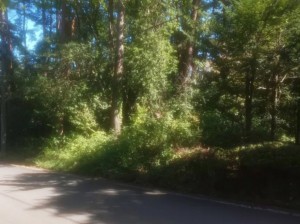 安曇野市穂高、土地の画像です