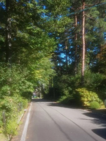 安曇野市穂高、土地の画像です