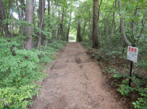 安曇野市穂高、土地の画像です