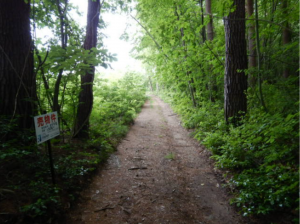 安曇野市穂高、土地の画像です