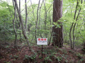 安曇野市穂高、土地の画像です