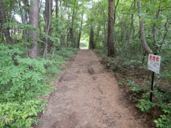 安曇野市穂高、土地の画像です