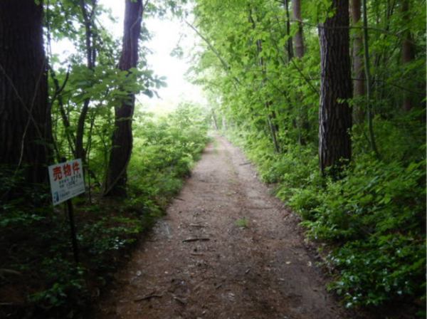 安曇野市穂高、土地の画像です