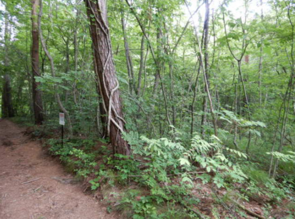 安曇野市穂高、土地の画像です