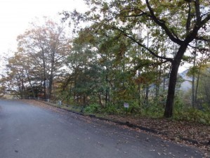 安曇野市穂高、土地の画像です