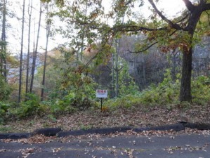 安曇野市穂高、土地の画像です