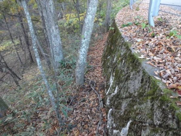 安曇野市穂高、土地の画像です