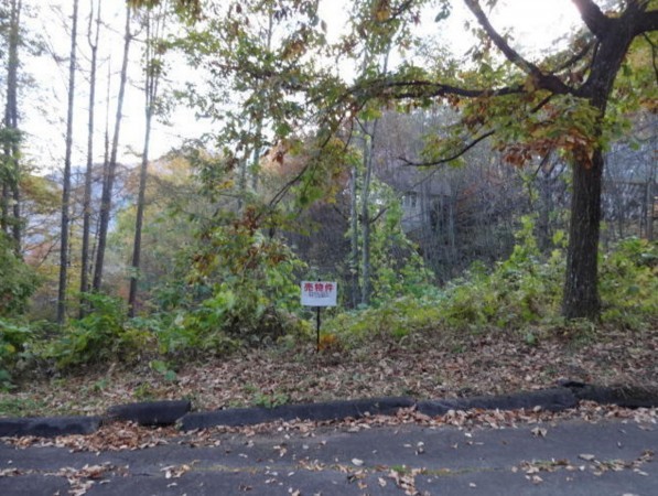 安曇野市穂高、土地の画像です