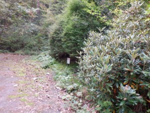 安曇野市穂高、土地の画像です