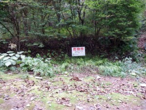 安曇野市穂高、土地の画像です