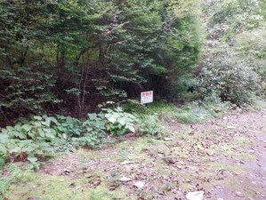 安曇野市穂高、土地の画像です