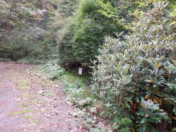 安曇野市穂高、土地の画像です