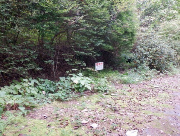 安曇野市穂高、土地の画像です