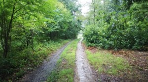 安曇野市穂高、土地の画像です