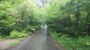 安曇野市穂高、土地の画像です