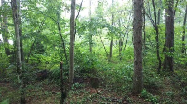 安曇野市穂高、土地の画像です