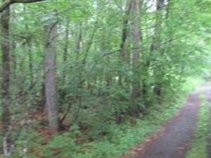 安曇野市穂高、土地の画像です