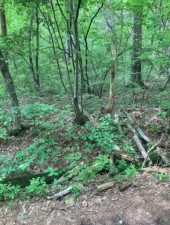 安曇野市穂高、土地の画像です